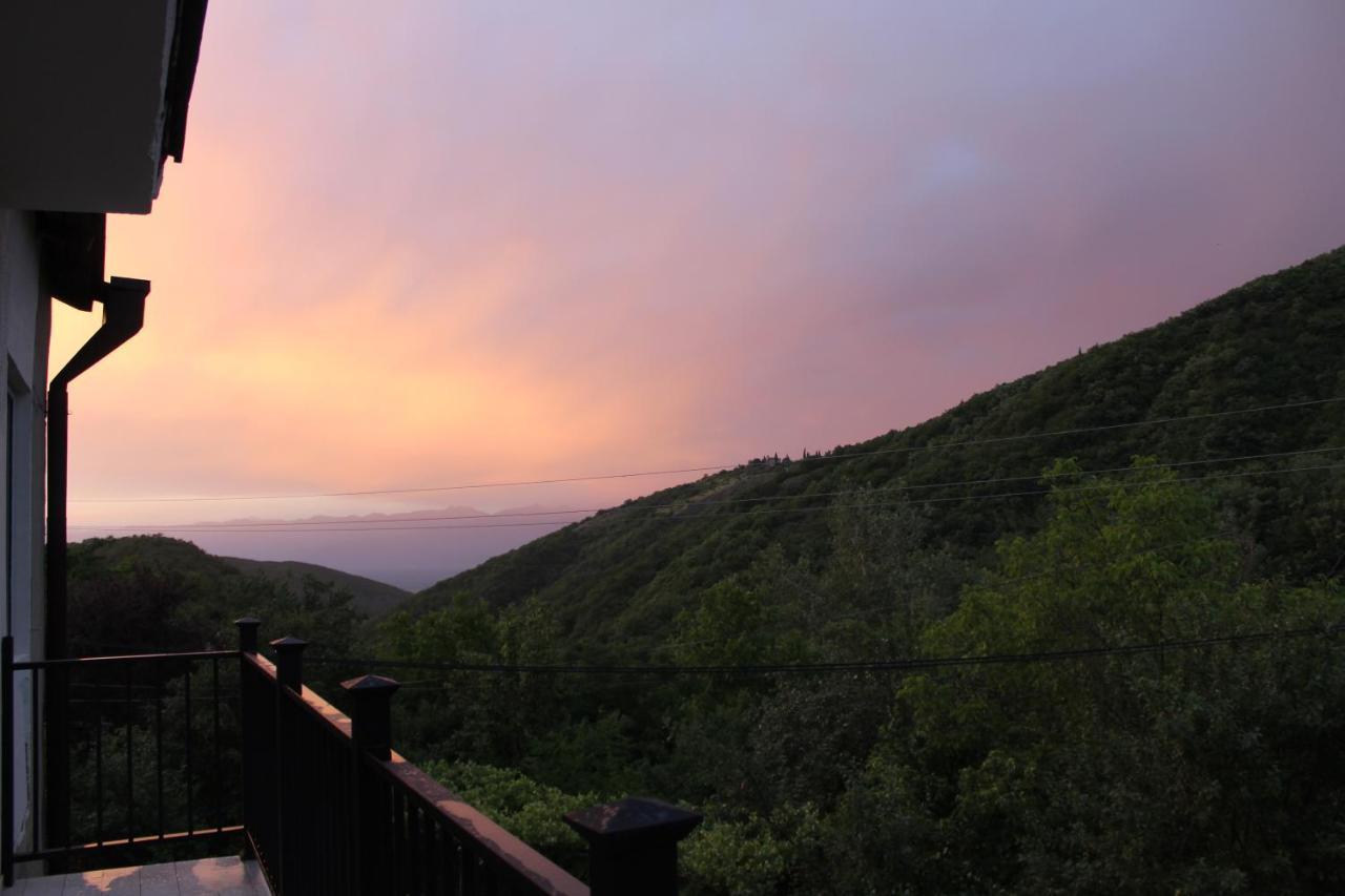 The Nature Sighnaghi Extérieur photo